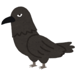 鳥代表カラス